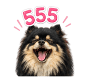 842694003