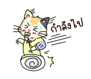 842694138