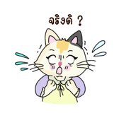 842694143