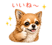 842694226