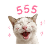 842694251