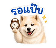 842694669