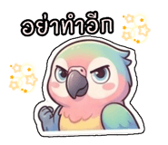 842694925