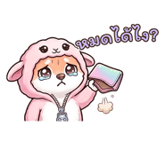 842695377