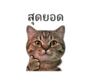 842695876