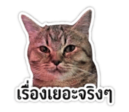 842695879