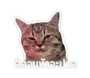 842695883