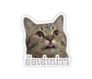 842695886