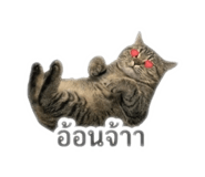 842695891