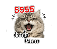 842696820