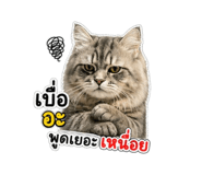 842696825