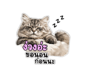 842696828