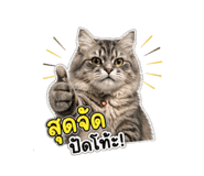 842696834