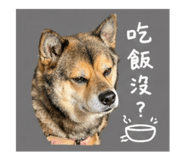 842697373