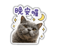 842697620