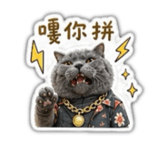 842697635