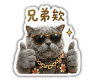 842697637