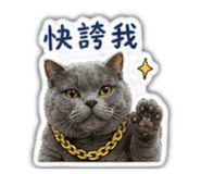 842697644