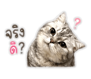 842698318