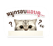 842698326