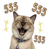 842699443