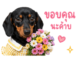 ลูก้า ธอร์ พับพิม V1 รูปที่ 3