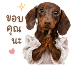 ลูก้า ธอร์ พับพิม V1 รูปที่ 4