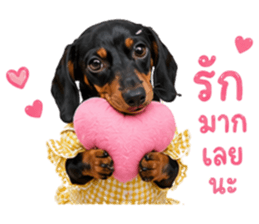 ลูก้า ธอร์ พับพิม V1 รูปที่ 6