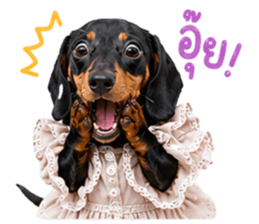 ลูก้า ธอร์ พับพิม V1 รูปที่ 14