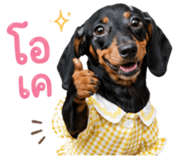 ลูก้า ธอร์ พับพิม V1 รูปที่ 15