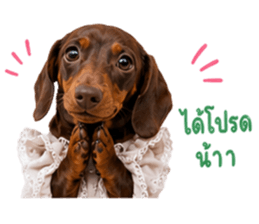 ลูก้า ธอร์ พับพิม V1 รูปที่ 16