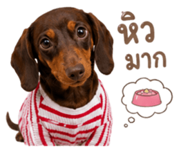 ลูก้า ธอร์ พับพิม V1 รูปที่ 18
