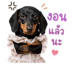 ลูก้า ธอร์ พับพิม V1 รูปที่ 19