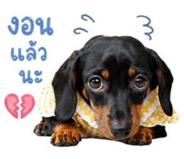 ลูก้า ธอร์ พับพิม V1 รูปที่ 20