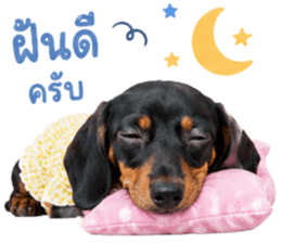 ลูก้า ธอร์ พับพิม V1 รูปที่ 22