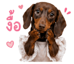 ลูก้า ธอร์ พับพิม V1 รูปที่ 23
