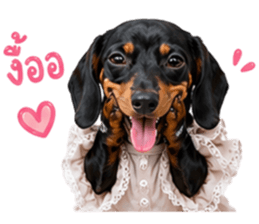 ลูก้า ธอร์ พับพิม V1 รูปที่ 24