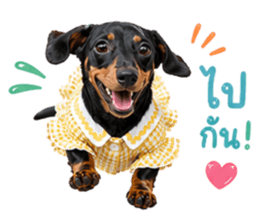 ลูก้า ธอร์ พับพิม V1 รูปที่ 25