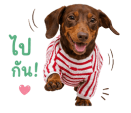 ลูก้า ธอร์ พับพิม V1 รูปที่ 26