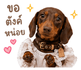 ลูก้า ธอร์ พับพิม V1 รูปที่ 28