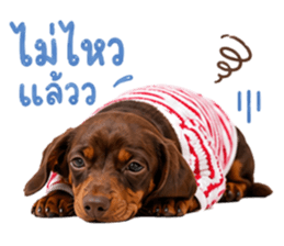 ลูก้า ธอร์ พับพิม V1 รูปที่ 29