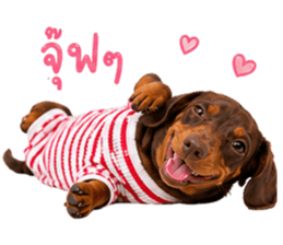 ลูก้า ธอร์ พับพิม V1 รูปที่ 31