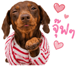 ลูก้า ธอร์ พับพิม V1 รูปที่ 32