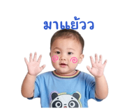842700333