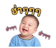 842700339