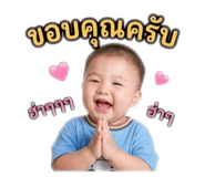 842700341