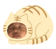 842700365
