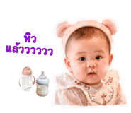 842701428
