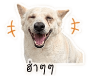 842701534