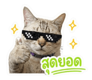 842701596